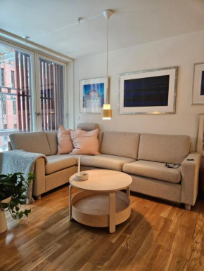 Ny og moderne leilighet, midt i byen1